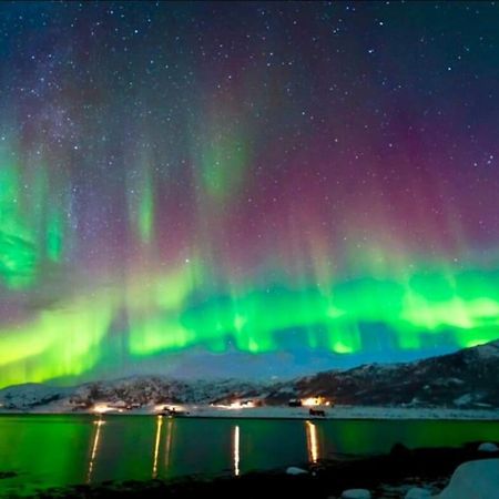 In The Heart Of The Aurora Borealis - Tromso City Екстер'єр фото