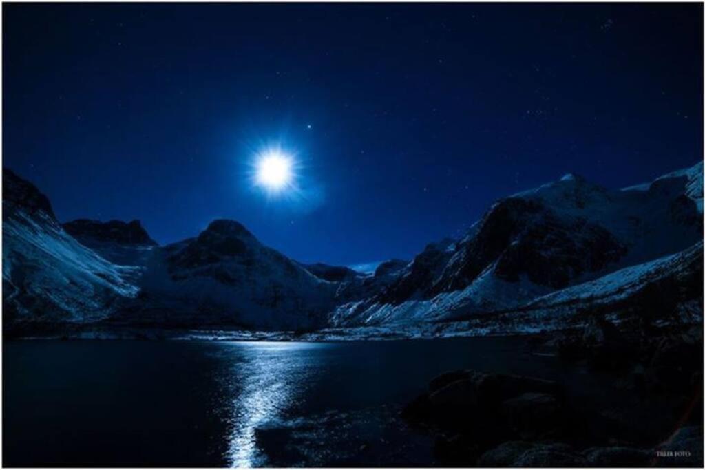 In The Heart Of The Aurora Borealis - Tromso City Екстер'єр фото