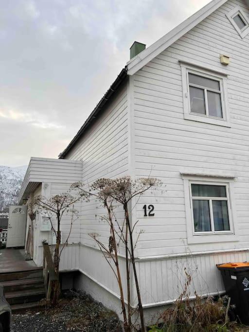 In The Heart Of The Aurora Borealis - Tromso City Екстер'єр фото